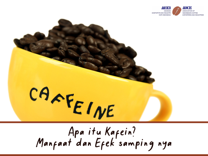 Apa itu Kafein Manfaat dan Efek samping nya