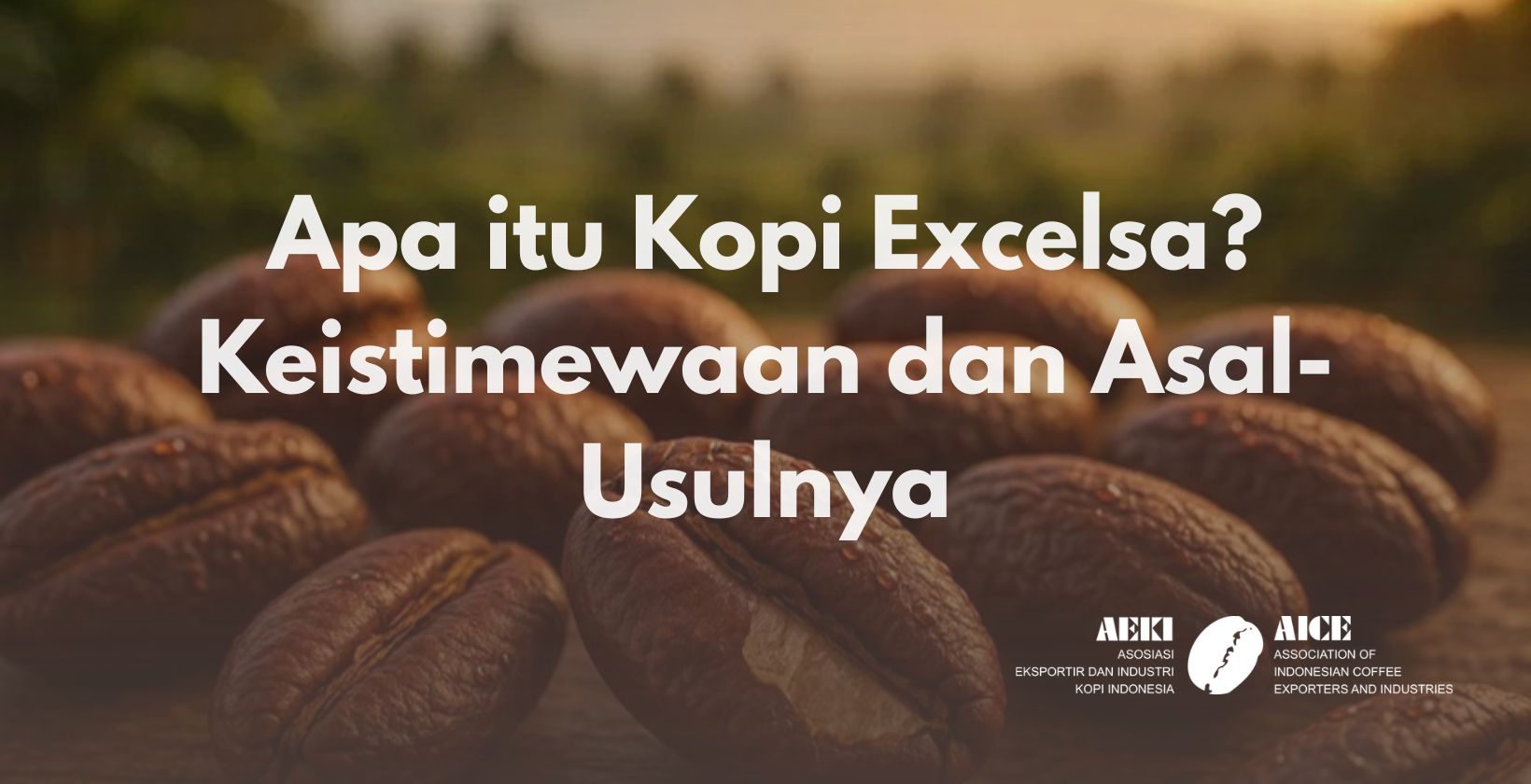 Apa itu Kopi Excelsa