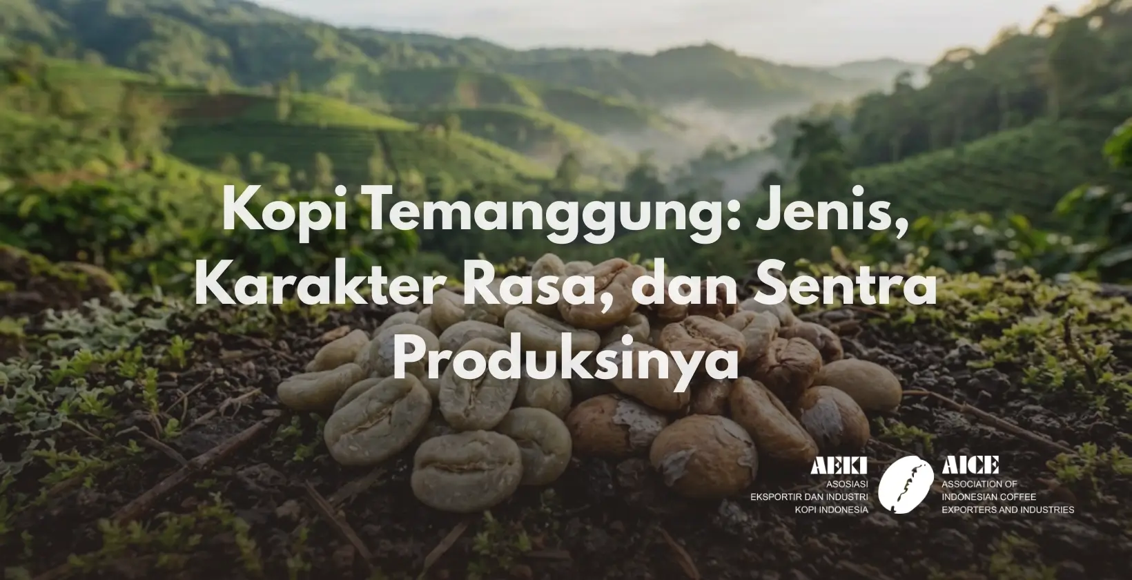 Kopi Temanggung