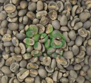 Kopi Sumatra Lintong