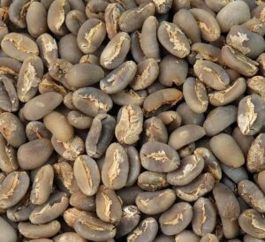 Gayo Longberry