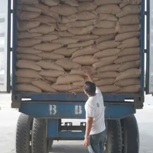 ANNUAL EXPORT VOLUME