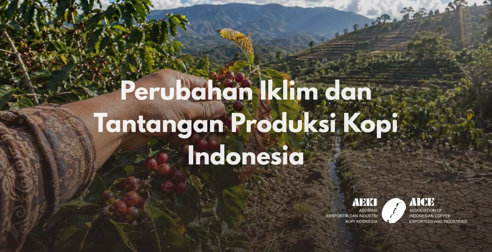Perubahan Iklim dan Tantangan Produksi Kopi Indonesia
