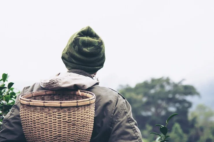 Petani Kopi Indonesia