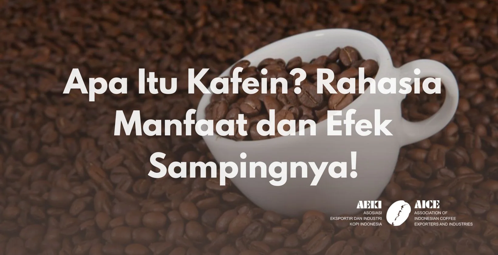 Apa Itu Kafein