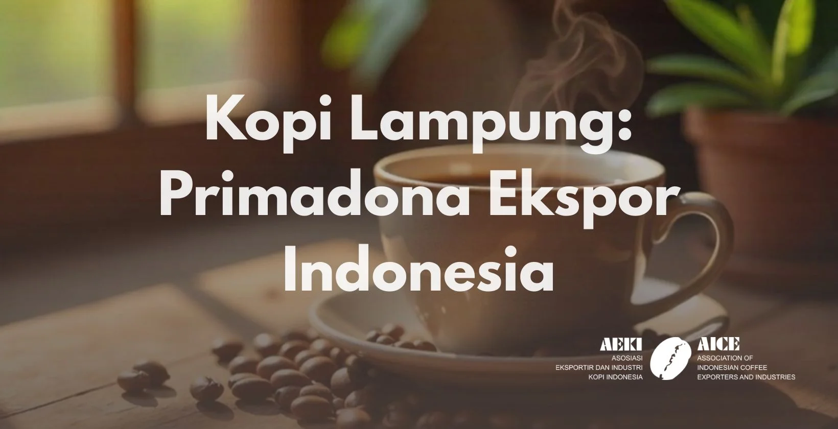 kopi lampung