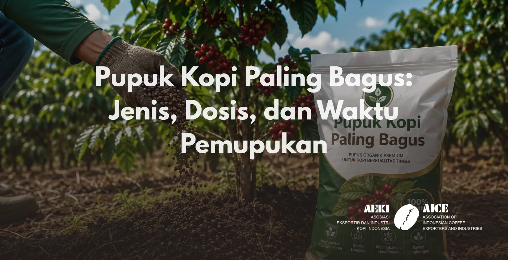 Pupuk Kopi Paling Bagus