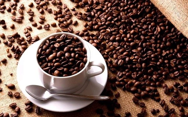 Kopi sumatra