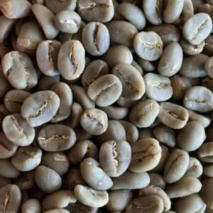 Aceh Gayo Coffee