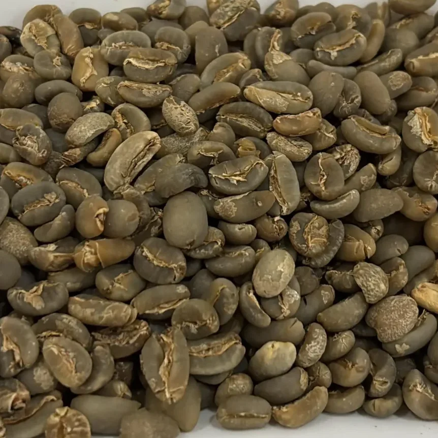 Organic Mandheling Sumatra Coffee