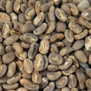 Gayo Longberry