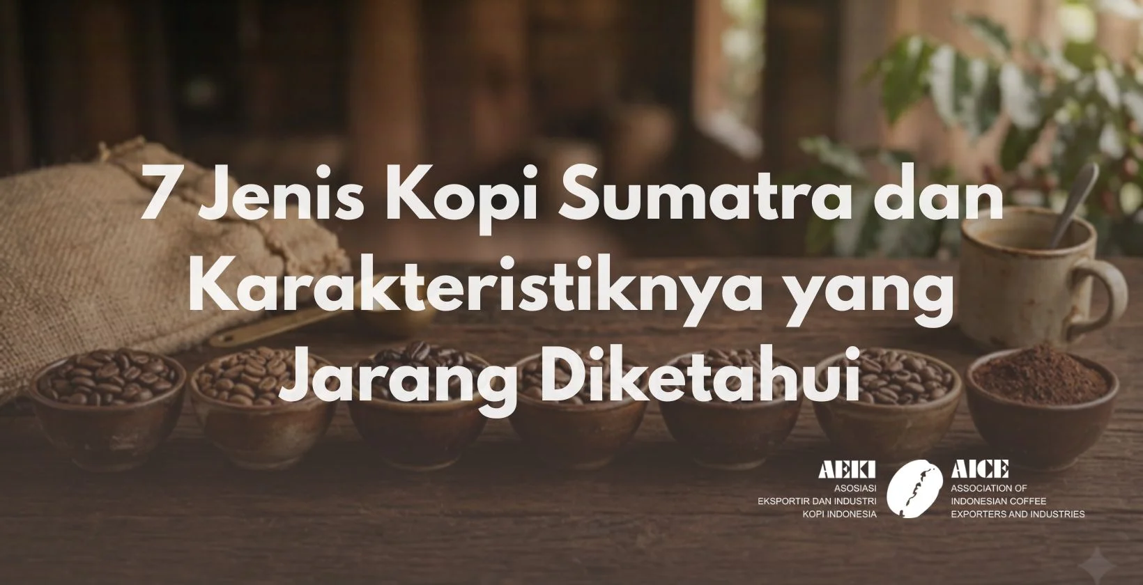 7 Jenis Kopi Sumatra dan Karakteristiknya yang Jarang Diketahui