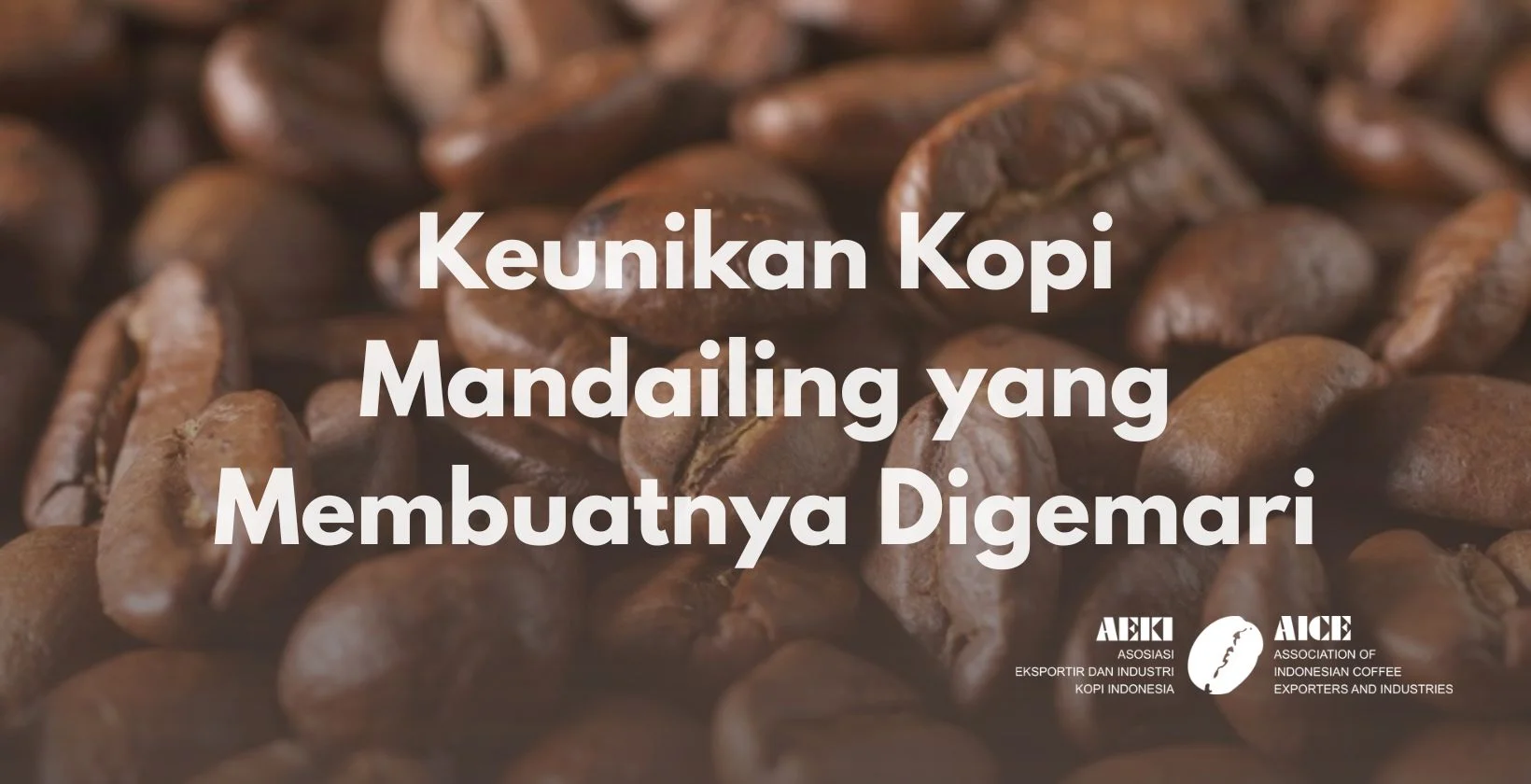 Keunikan Kopi Mandailing yang Membuatnya Digemari