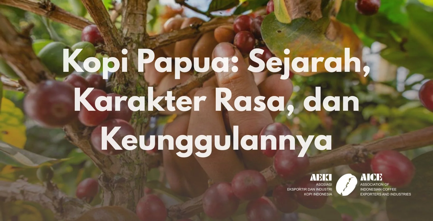 Kopi Papua