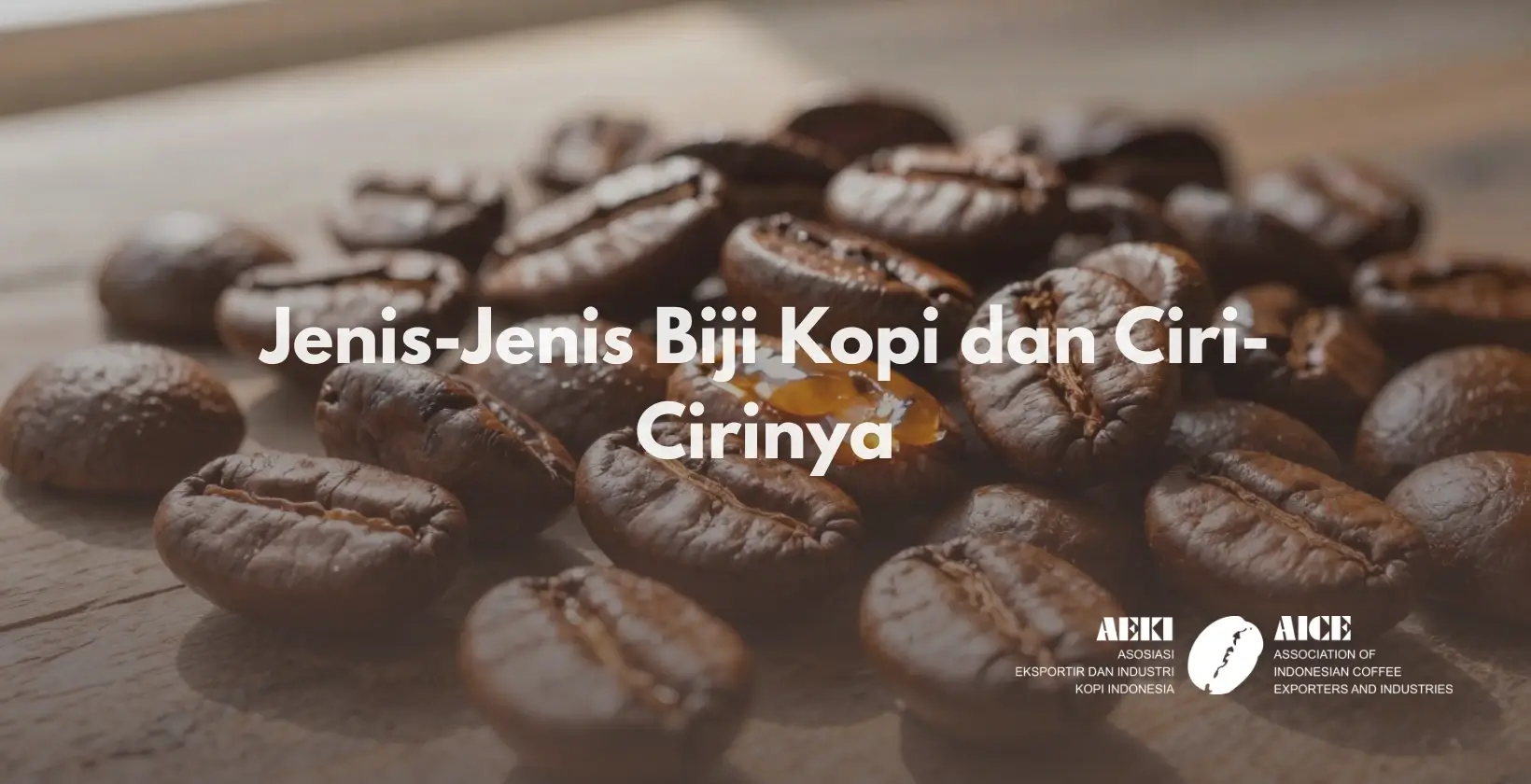 Jenis-Jenis Biji Kopi