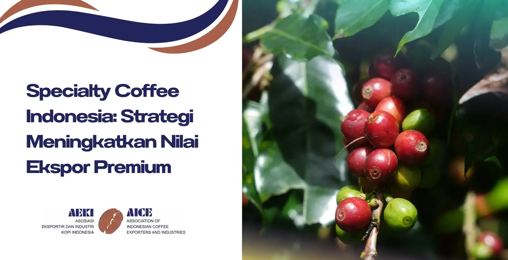 Specialty Coffee Indonesia